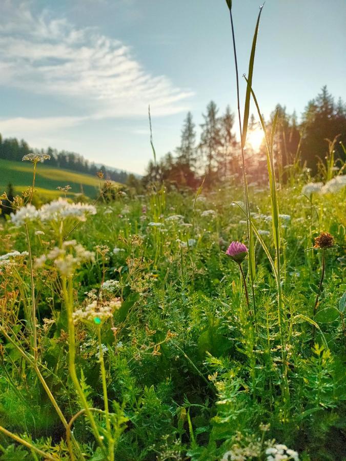 Chi Plans Villa Antermoia Dış mekan fotoğraf